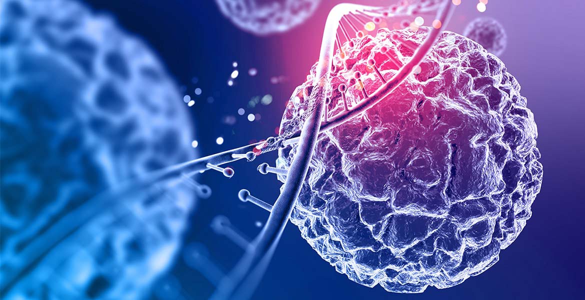 the endocannabinoid system