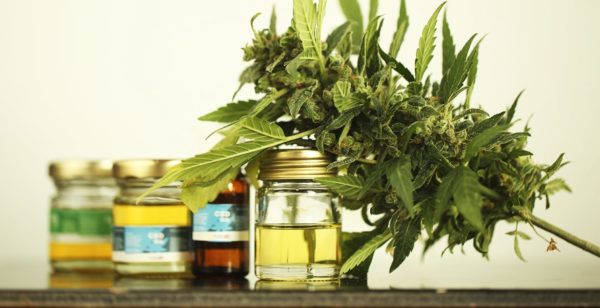 What Are the Best CBD Products? What Are My Options?