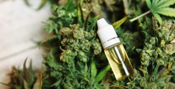 The Entourage Effect & CBD Oil – Is It A Game-Changer?