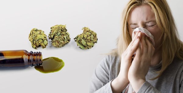 An Allergic Reaction to CBD Oil… Is It Possible?