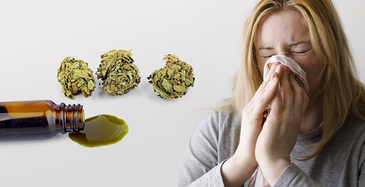 is there such a thing as cbd allergies