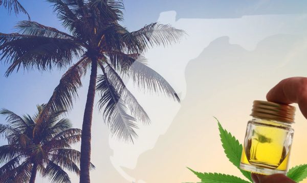CBD Oil in Florida: Things to Know
