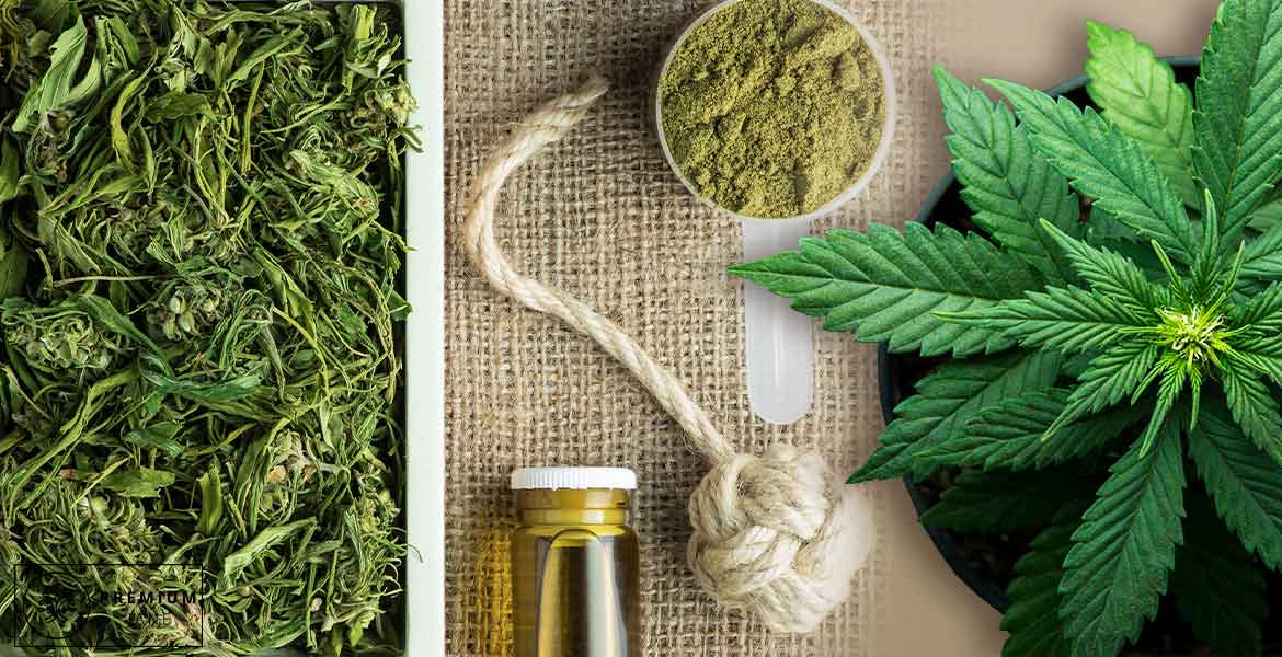 the difference between hemp and marijuana