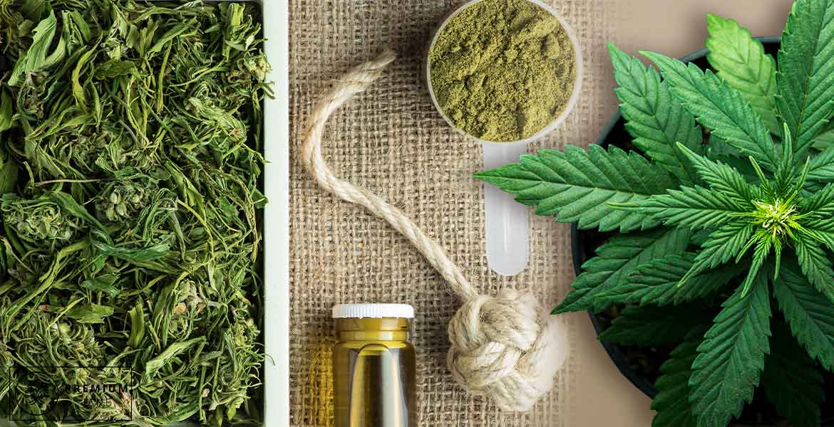 Hemp vs. Marijuana: What's the Difference?