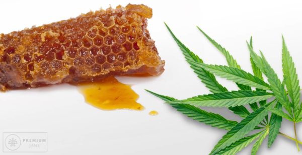 CBD Honey Sticks: All You Need to Know