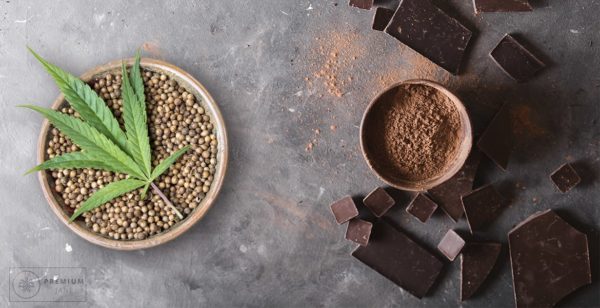 Everything You Need to Know About CBD Chocolate
