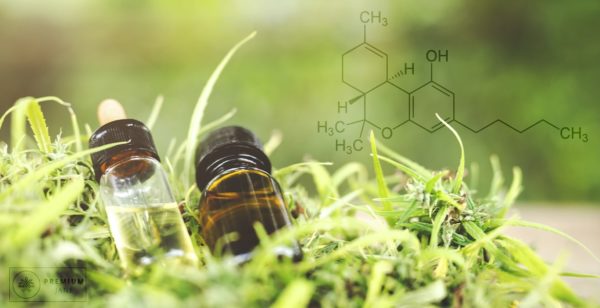 CBD Oil with THC: A Cause for Concern?