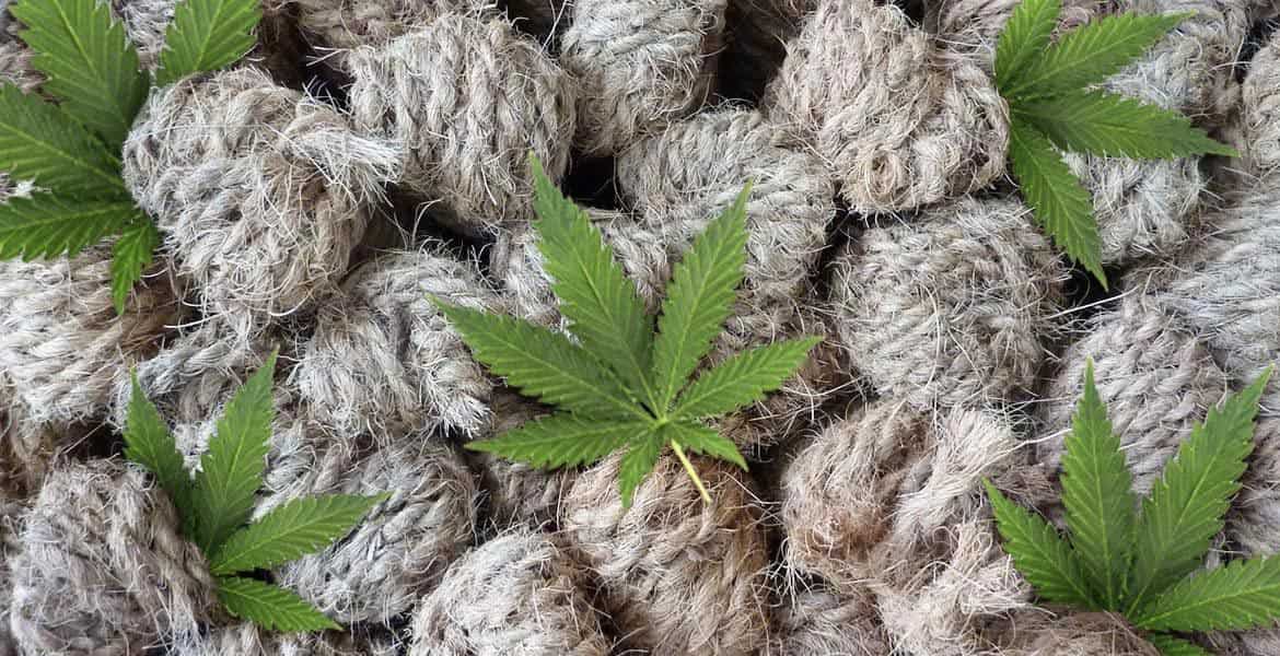 10 Incredible Things Hemp Can Be Used For