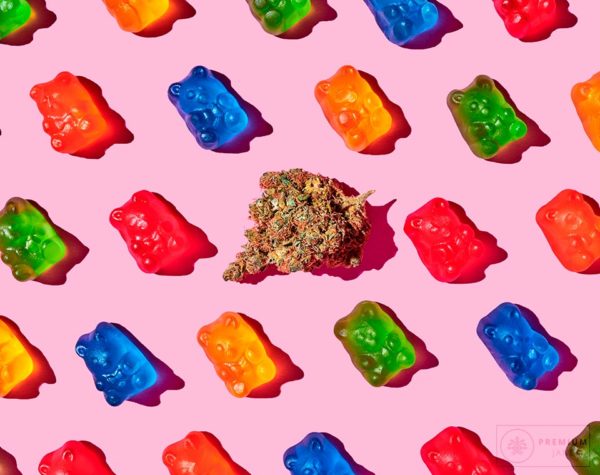 CBN Edibles for Your Daily Routine
