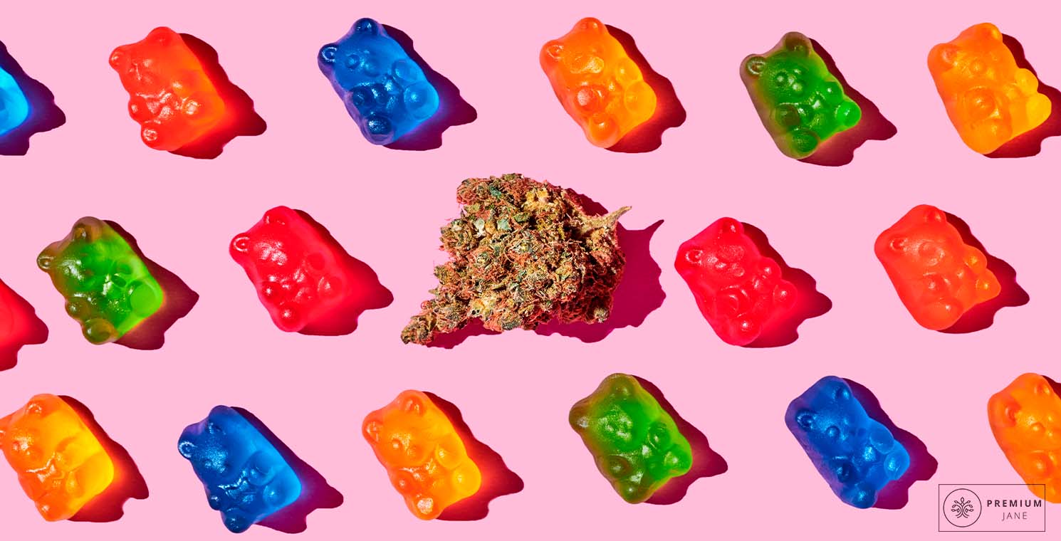 CBN Edibles for Your Daily Routine